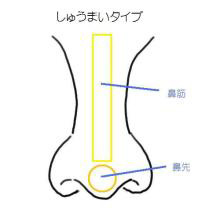 しゅうまいタイプの鼻