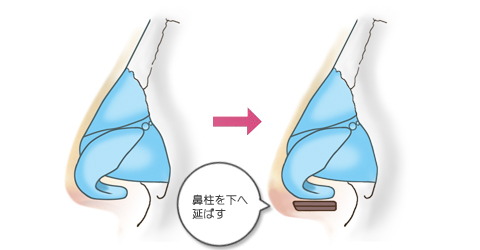 鼻先を斜め下にとがらせる