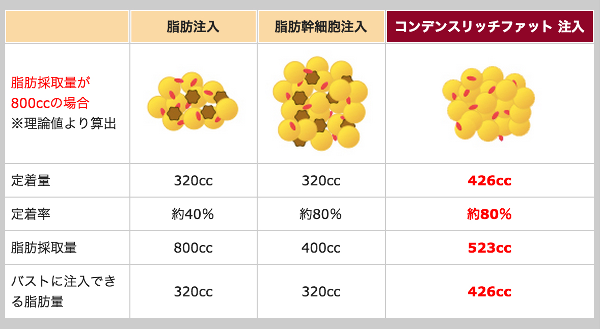 過去最高の定着率の説明表