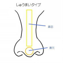 肉まんタイプの鼻