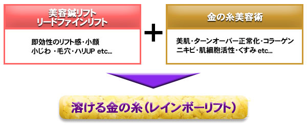 アンチエイジング Antiaging ‐ 溶ける金の糸(レインボーリフト)