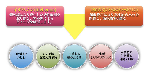 イデバエの特徴説明画像