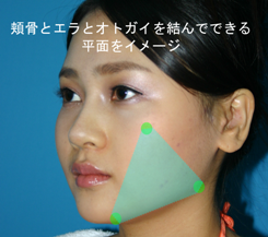 頬骨の真ん中と下顎角(エラ)とオトガイの角を結んだ三角形で出来る面をイメージ