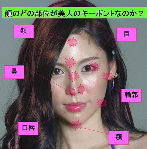 顔のどの部位が美人のキーポイントなのか