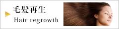 毛髪再生