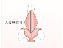 延長前の鼻