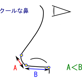 クールな鼻