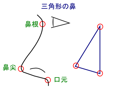 三角形の鼻