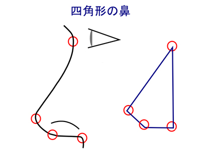 きれいな鼻