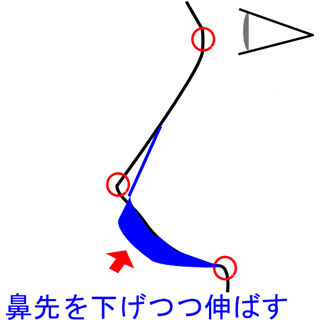 鼻先自体の位置も下げつつ、鼻柱を伸ばす