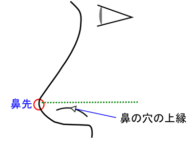 綺麗な四角形の鼻