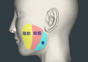 小顔の適応