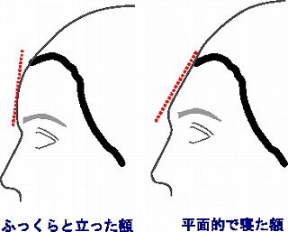 額の形