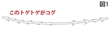 コグのイメージ