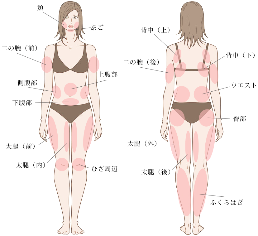 脂肪溶解注射 美容整形 美容外科ならヴェリテクリニック 公式 東京 名古屋 大阪