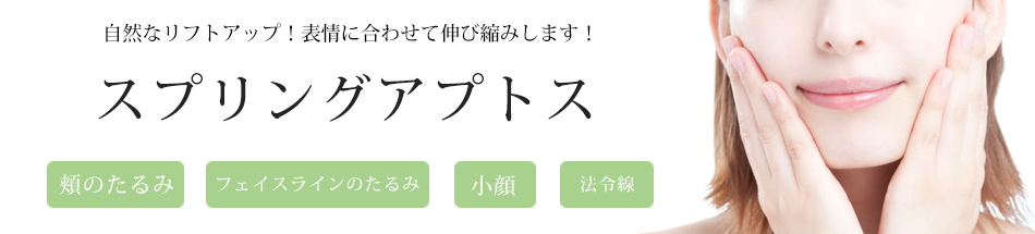スプリングアプトス