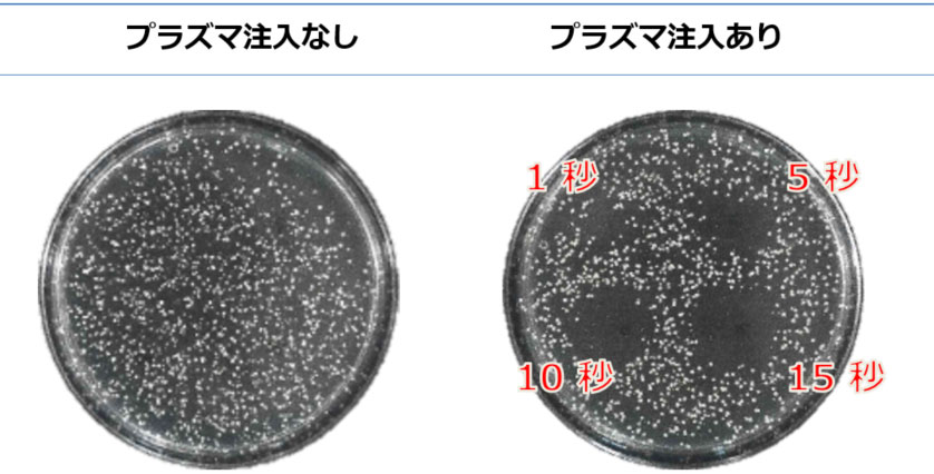 プラズマによるアクネ菌除去の実験