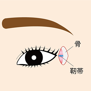 目尻外角靭帯移動術 ヴェリテクリニック 公式 東京 名古屋 大阪 美容整形 美容外科