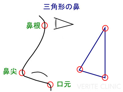 三角形の鼻