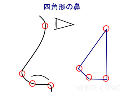 綺麗な鼻