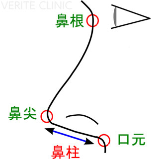 鼻柱