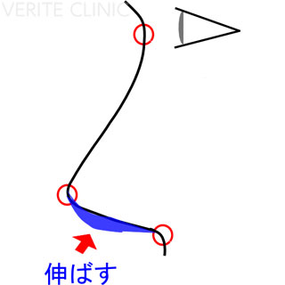 鼻柱を下(斜め下方)に伸ばす