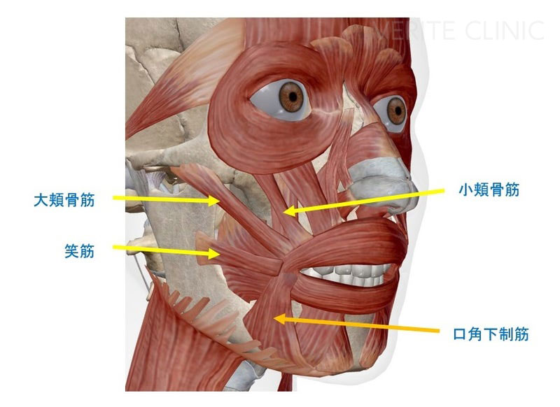 口角下制筋